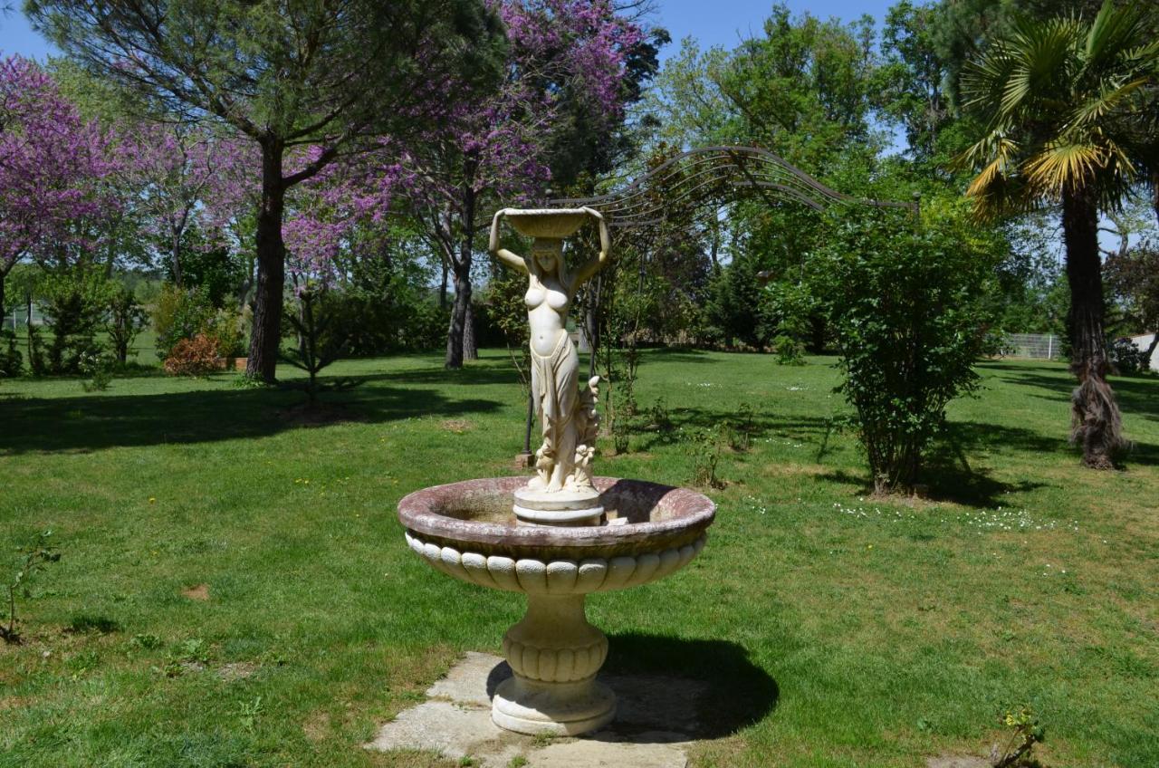 La Louisiane 31 Bed and Breakfast Villefranche-de-Lauragais Eksteriør billede
